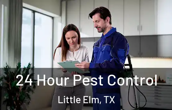 24 Hour Pest Control Little Elm, TX