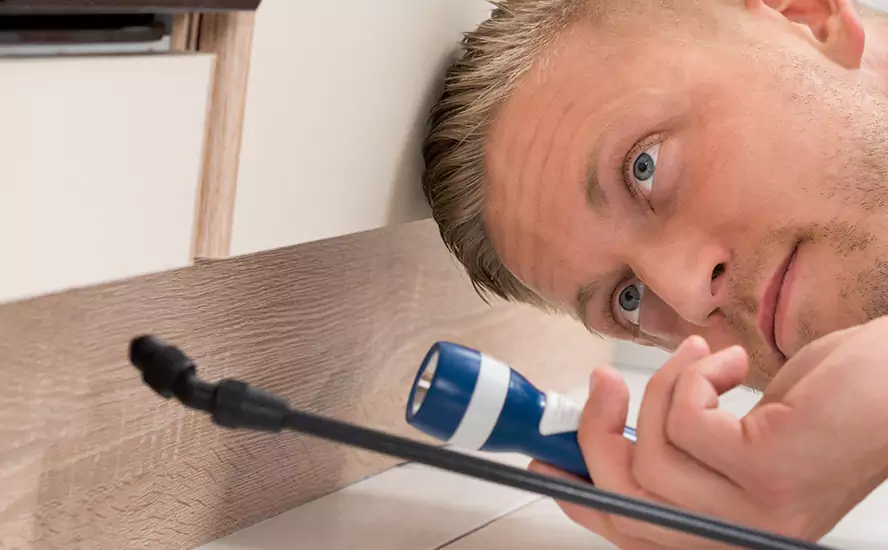 Top-Notch Pest Control in Little Elm