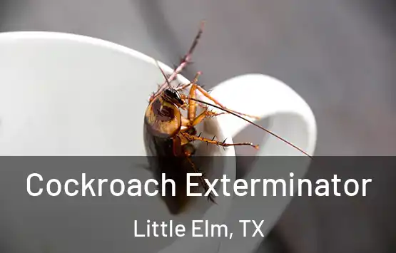  Cockroach Exterminator Little Elm, TX