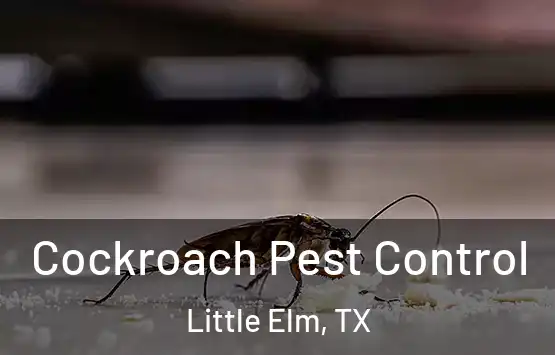  Cockroach Pest Control Little Elm, TX