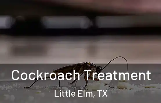  Cockroach Treatment Little Elm, TX