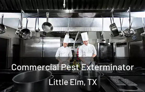  Commercial Pest Exterminator Little Elm, TX
