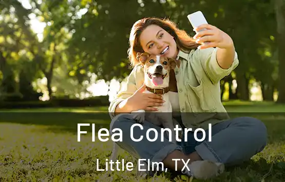  Flea Control Little Elm, TX