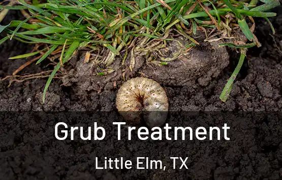  Grub Treatment Little Elm, TX