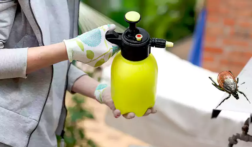 Ticks Pest Control Little Elm, Texas