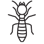Termites Pest Control Little Elm, Texas