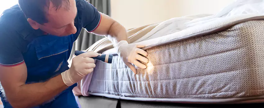 bed-bug-exterminator in Little Elm, TX