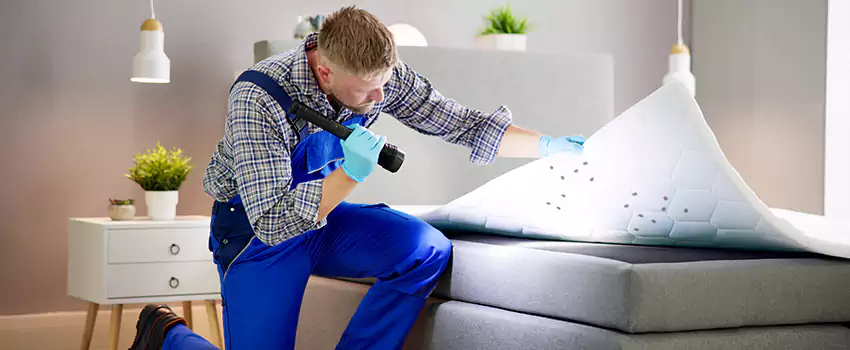 bed-bug-treatment in Little Elm, TX