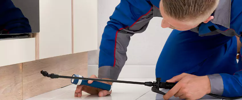 Ant Control for Bedrooms in Little Elm, TX