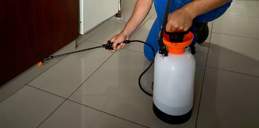 Commercial Pest Extermination for Offices in Little Elm, TX