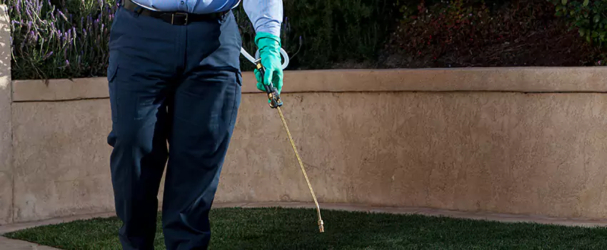 Emergency Pest Extermination for Children and Pets Little Elm, TX
