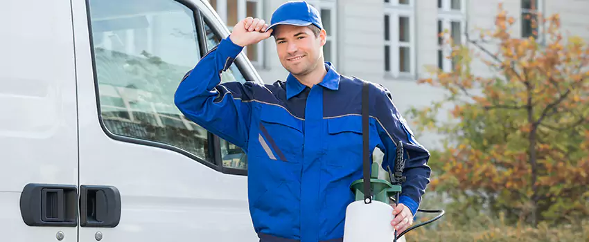 Long-Term Rodent Prevention and Monitoring Plans in Little Elm, TX