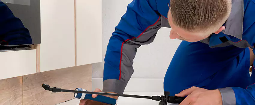 Termite Control for Children and Pets in Little Elm, TX