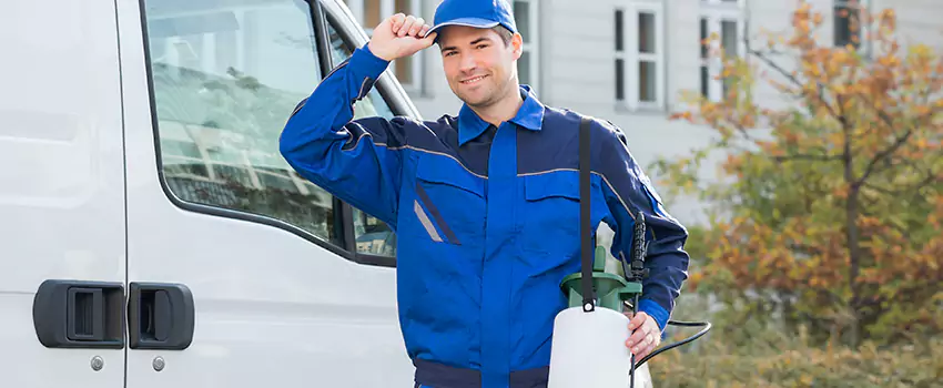 Whitefly Treatment for Bedrooms Little Elm, TX