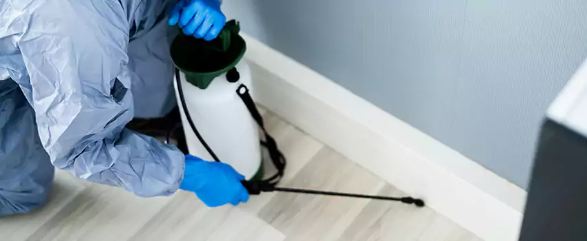 cockroach-exterminator in Little Elm, TX