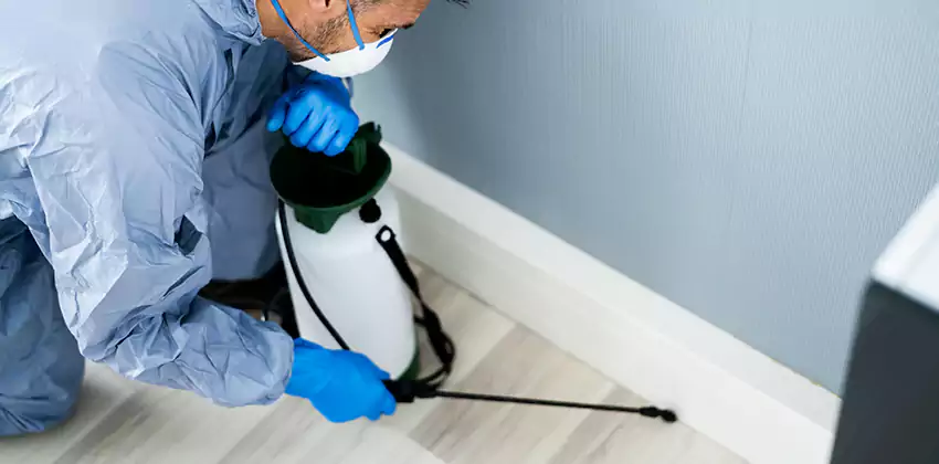commercial-pest-exterminator in Little Elm, TX