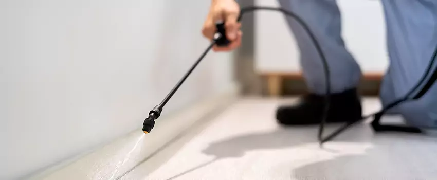 pest-exterminator in Little Elm, TX