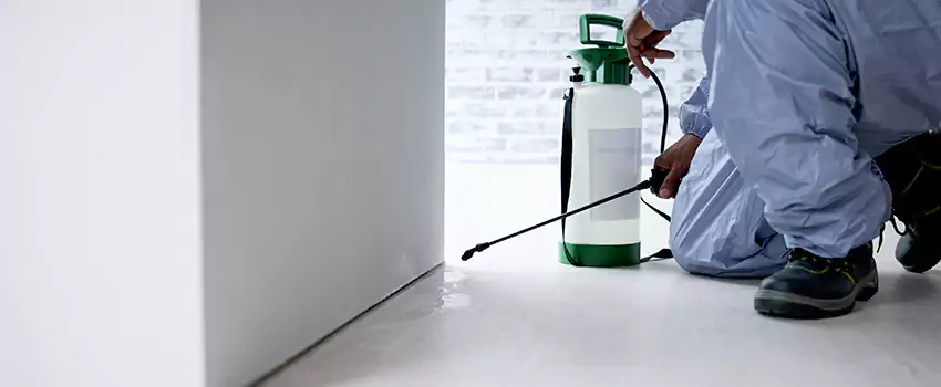 residential-pest in Little Elm, TX