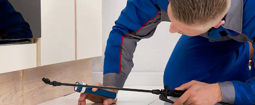 Pest Exterminator Company in Little Elm, TX