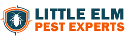 Little Elm Pest Experts