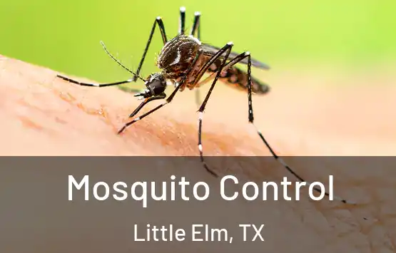  Mosquito Control Little Elm, TX