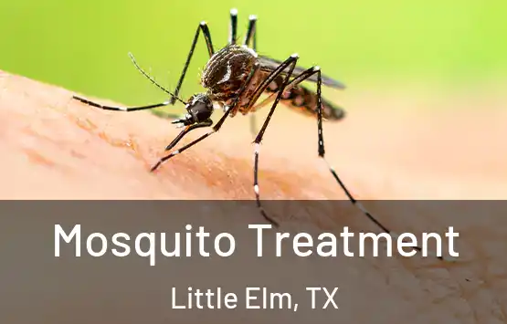  Mosquito Treatment Little Elm, TX