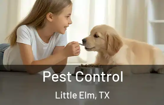  Pest Control Little Elm, TX