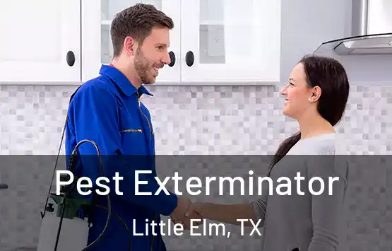  Pest Exterminator Little Elm, TX