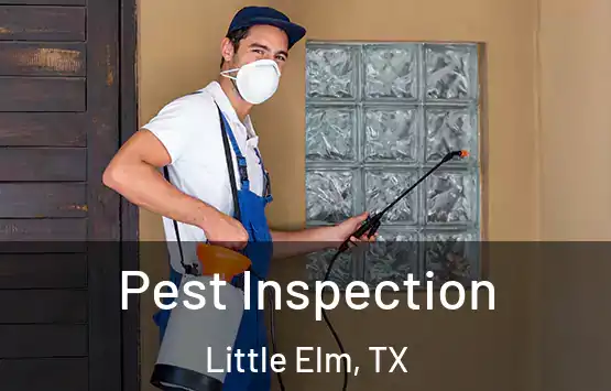  Pest Inspection Little Elm, TX