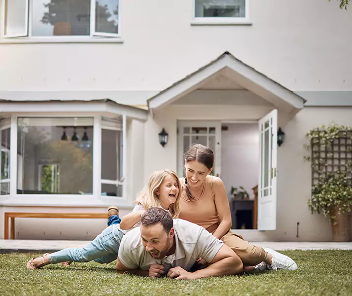 About Ant Control Little Elm