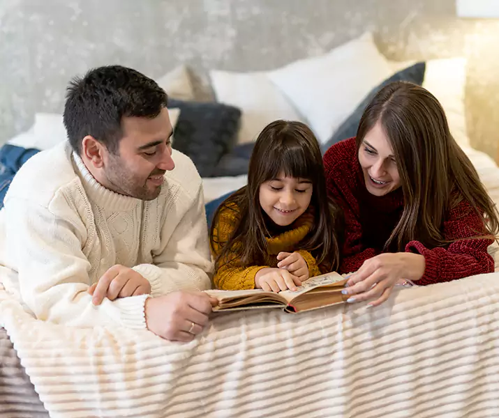 About Bed Bug Pest Control Little Elm