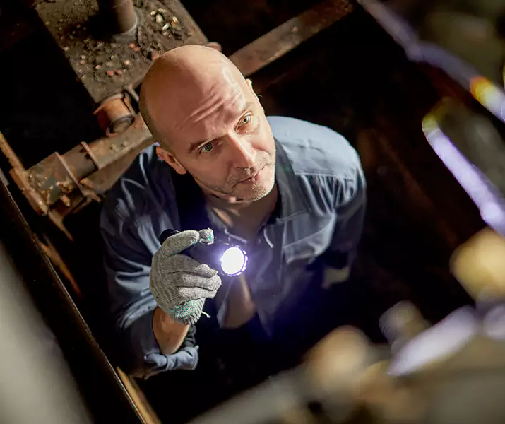 About Pest Inspection Little Elm