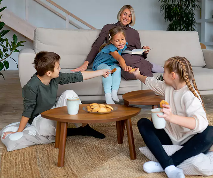 About Spider Exterminator Little Elm