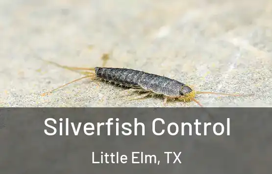  Silverfish Control Little Elm, TX