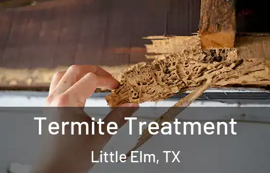  Termite Treatment Little Elm, TX
