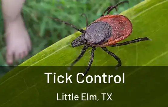  Tick Control Little Elm, TX