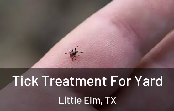  Tick Treatment For Yard Little Elm, TX