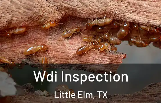  Wdi Inspection Little Elm, TX